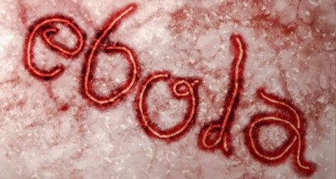 ebola-virus33