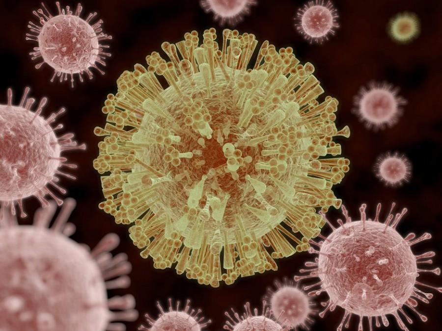 Photo of the Zika virus