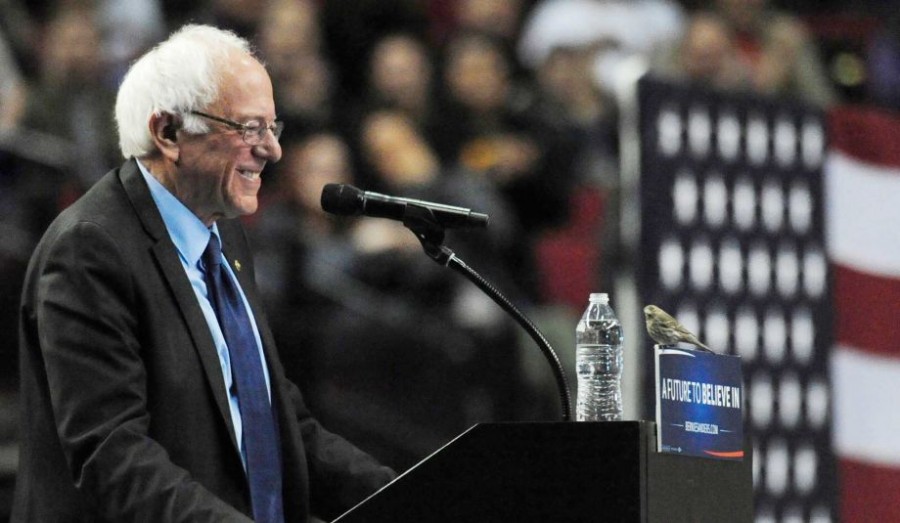 Bernie Sanders speaks at a rally in Portland, Oregon, on March 25. During his speech, a bird landed on the podium during his speech and resulted in popular usage of the punny nickname Birdie Sanders. 