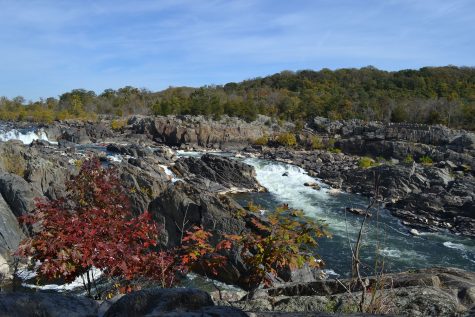 One with nature: Fall excursions you shouldn't miss