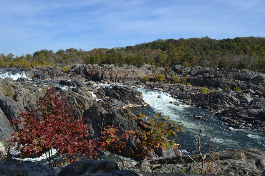 One with nature: Fall excursions you shouldnt miss