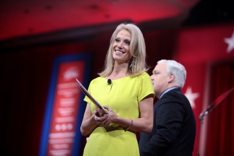 What could 'alternative facts' mean for Kellyanne Conway?