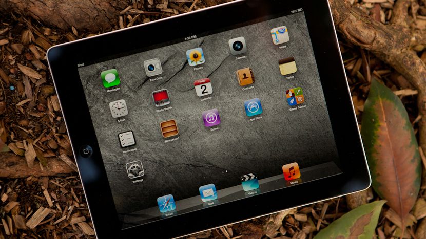 Online petition asks APS to end iPad program