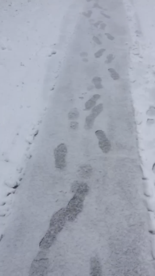 Sidewalks+have+posed+as+a+potential+hazard+for+walkers+trying+to+get+to+school.+This+year%E2%80%99s+snowfall+tends+to+come+during+the+morning+commute%2C+when+simply+shoveling+the+snow+doesn%E2%80%99t+work%2C+as+snow+still+continues+to+fall.+