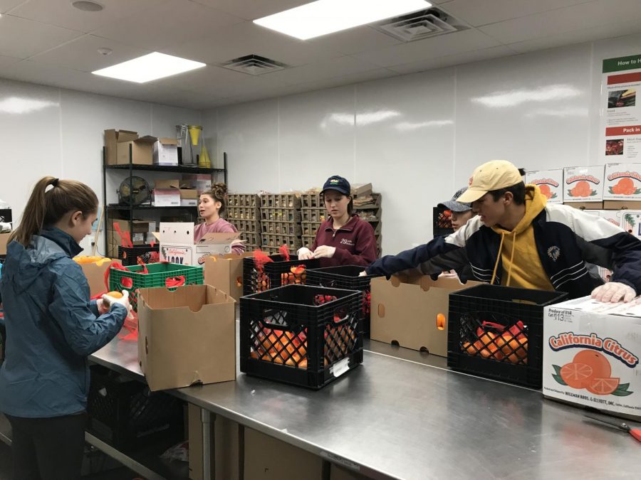 Students volunteer at Arlington Food Assistance Center