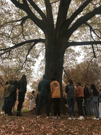 Meditation as a philosophical lesson