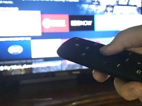 During this time at home due to the coronavirus, everyone needs some form of entertainment to keep their mind occupied. Many people turned to movies and television to curb their boredom.