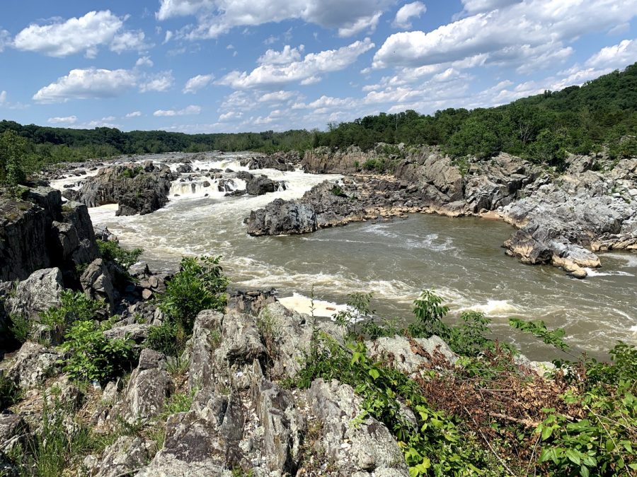 Great Falls Park includes views of the Potomac Rivers rapids. The trail is scenic and is by several parking lots. 