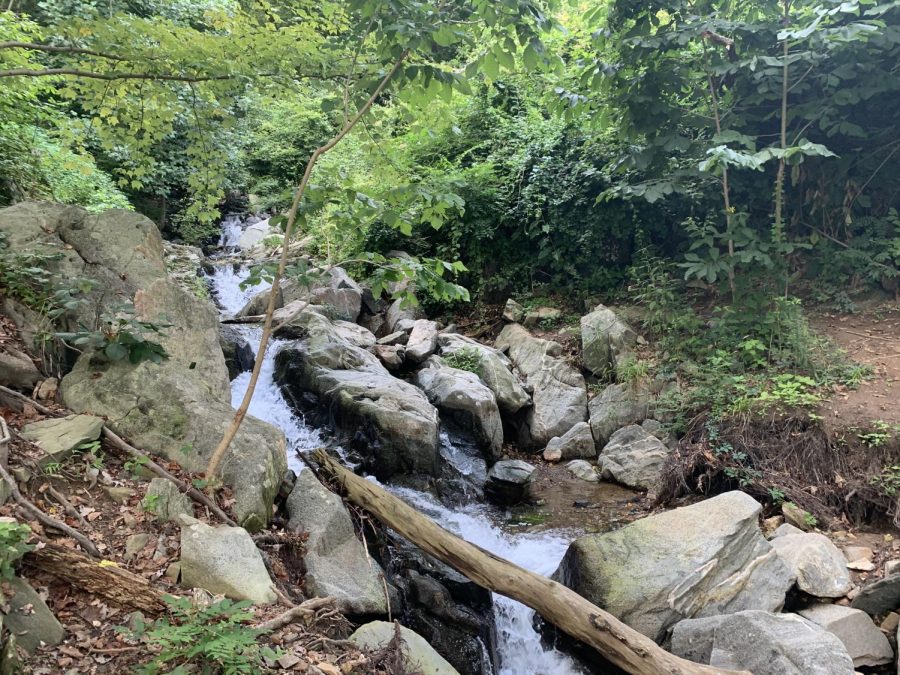 A creek runs through Turkey Run Parks trail. Turkey Run has some rough terrain and features streams and a miniature waterfall.