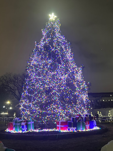 The National Christmas Tree in DC.