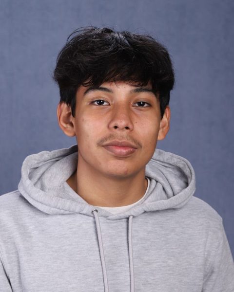Hamilthon Mejia Batres