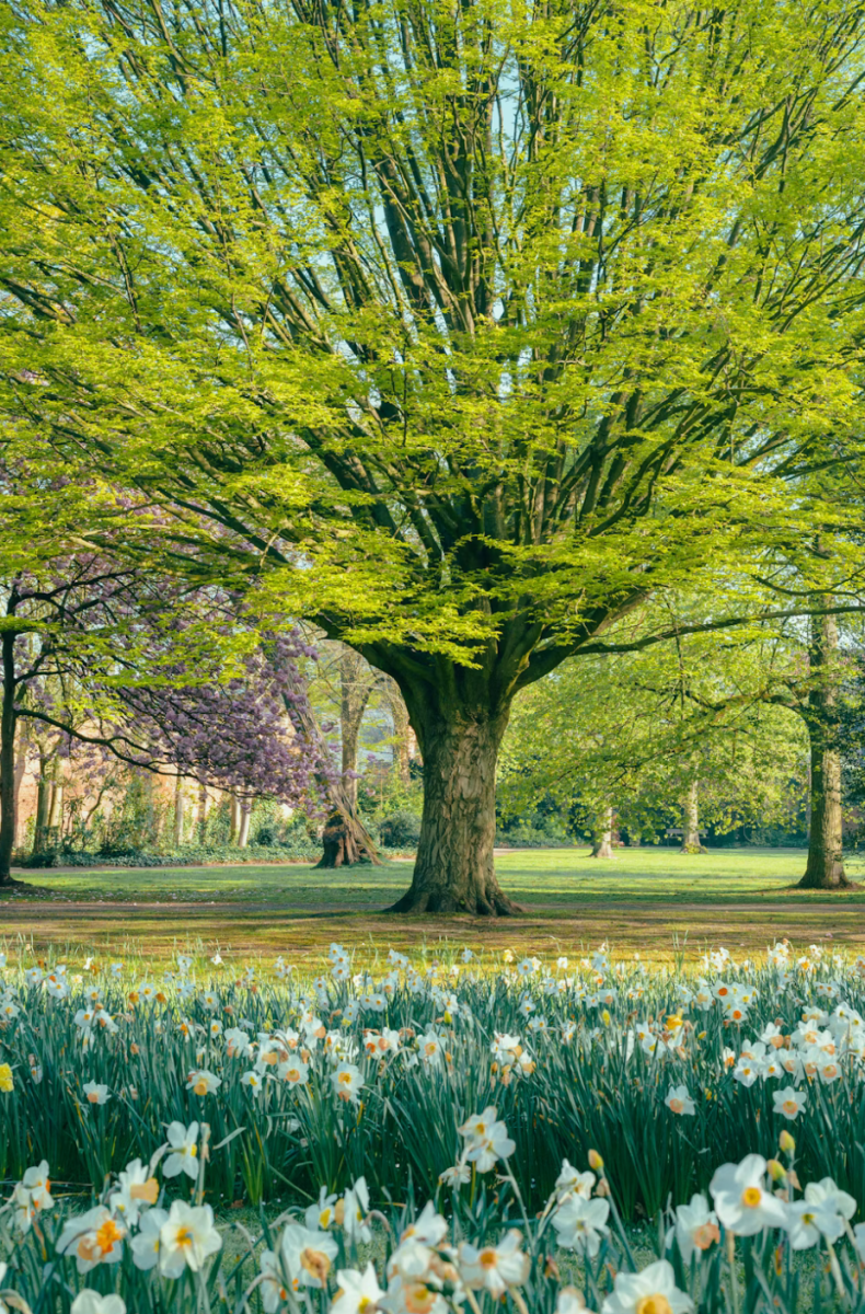 An enchanting view of the land in Mayfair, London, where Bridgerton takes place.
